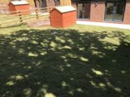 Click for all images